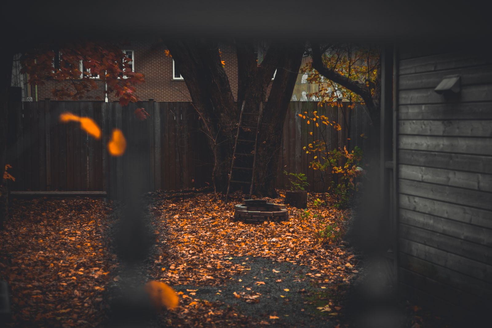 Gutter Cleaning in Piscataway NJ — A serene backyard in Québec City during fall, showcasing vibrant autumn leaves.